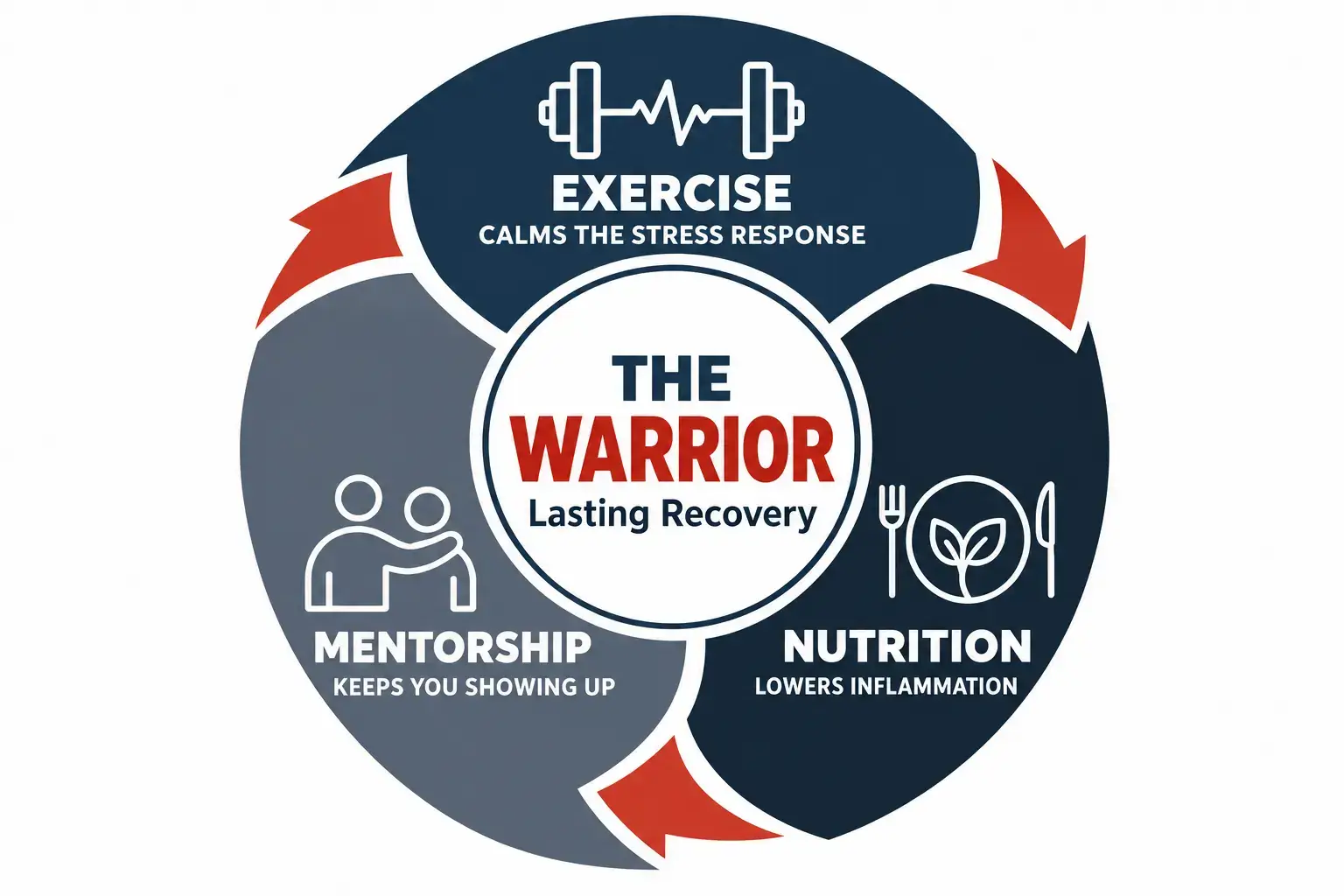 WarriorWOD veteran support programs model: exercise, nutrition, and mentorship work as one cycle around the Warrior for lasting recovery